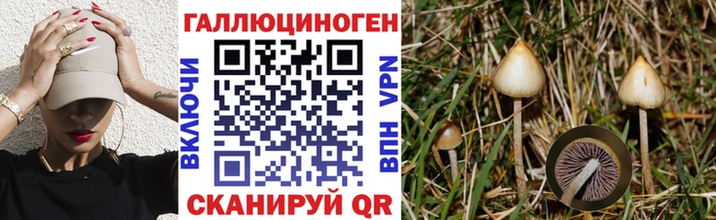 Галлюциногенные грибы Psilocybine cubensis  Малоярославец 